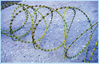 Barbed wire